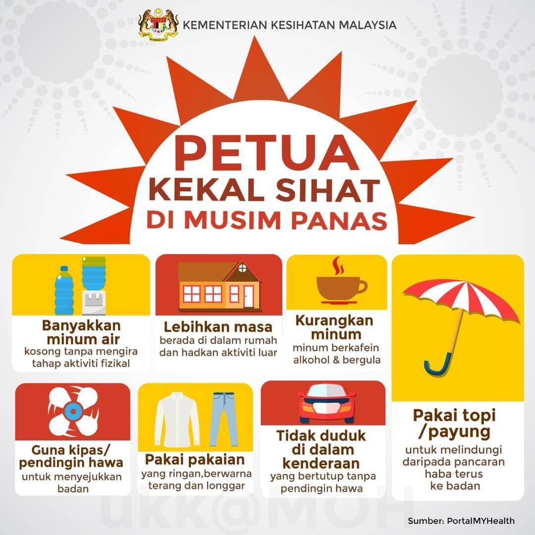 stay healthy in the summer